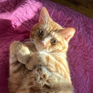 Meet your Posher, Jessa